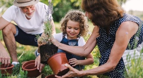 Dia Nacional dos Avós