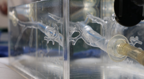 V Curso de Cardiologia Avançada com recurso a simulador SimulHeart